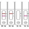 肠出血性大肠杆菌O104:H4（EHEC O104:H4）