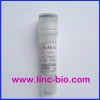 Rabbit Anti Human DKK Antibody