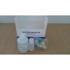 超氧化物歧化酶(SOD)检测试剂盒