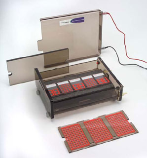 艾美捷向您推荐CometAssay&reg;彗星分析电泳系统