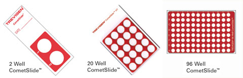 CometSlide&trade;彗星分析专用载片与载片架