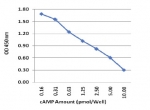 cAMP检测试剂盒标准曲线