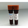 7Sea-CCK-8 细胞增殖与毒性检测试剂盒