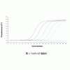 基因表达定量（qPCR）检测