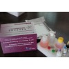 β-兴奋剂类药物检测试剂盒