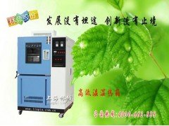 LRHS-101B-LJ高低温湿热箱