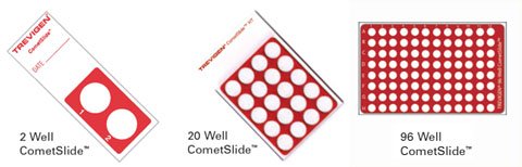 CometSlide™彗星分析专用载片与载片架 CometSlide™彗星分析专用载片与载片架
