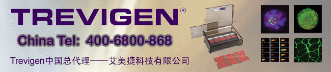 Trevigen细胞侵袭实验解决方案 Trevigen细胞侵袭实验解决方案