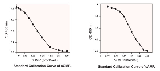 BioVision cAMP/cGMP定量分析试剂盒推荐