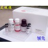 禽流感检测试剂盒