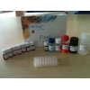 MD100呕吐毒素ELISA检测试剂盒/96T