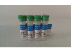OVA Peptide