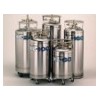 进口泰来华顿XL160,180,240,45杜瓦瓶,液氮罐