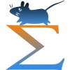 SuperMaze动物行为学视频分析系统-XR-Xmaze