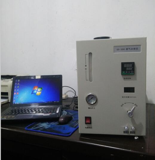 GS-300-2