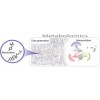 代谢组数据生物信息学分析