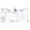 脂质代谢组学研究(Lipidomics)