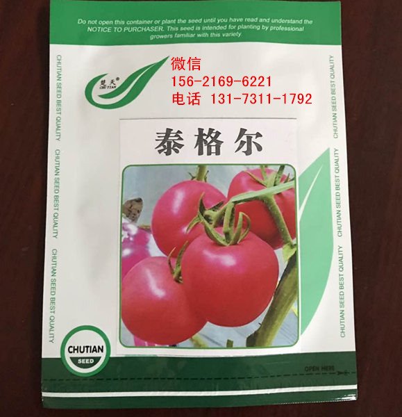 西红柿种子-泰格尔_电话