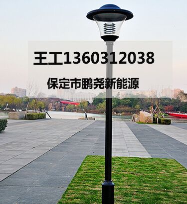 市电庭院灯 市电庭院灯