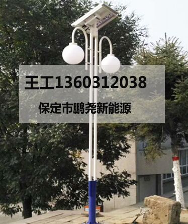 双灯头庭院灯 双灯头庭院灯