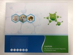 二肽基肽酶-4(DPP4)ELISA试剂盒