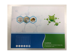 成纤维细胞生长因子23(FGF-23)ELISA试剂盒