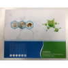 CX3C趋化因子/fractalkine(FKN/CX3CL1)ELISA试剂盒