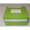 Stathmin 1(STMN1)ELISA试剂盒
