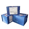 白细胞介素24(IL-24)ELISA试剂盒