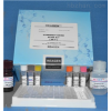 P选择素(P-Selectin/CD62P)ELISA试剂盒