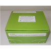 P糖蛋白/渗透性糖蛋白(P-gp)ELISA试剂盒