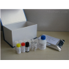 P钙黏蛋白/胎盘钙黏蛋白(P-cad)ELISA试剂盒