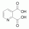 吡啶-2，3-二羧酸,99.5%