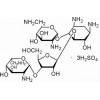 硫酸新霉素 USP，650U/MG