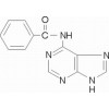 N6-苯甲酰基腺嘌呤 BR，99%
