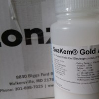 SeaKem Gold琼脂糖（现货促销）