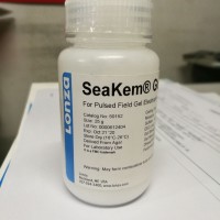 SeaKem Gold琼脂糖（现货促销）