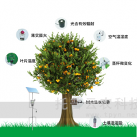 植物生理生态监测系统,两个型号,TP-ZWSL-A