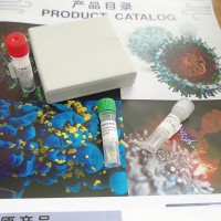 Pembrolizumab ( 兰洛利珠单抗 )