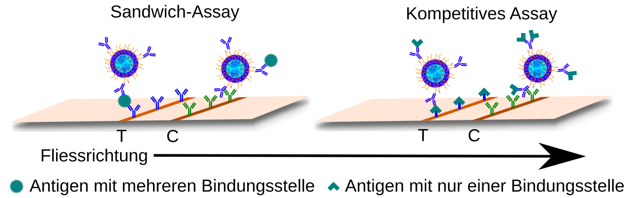 免疫分析原理 · 2