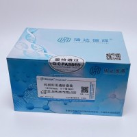 科研即用透析套装，直径15mm，截留分子量2KD