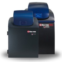 G:Box Mini系列高性能荧光、化学发光成像系统