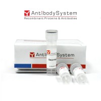 Recombinant Human CD50/ICAM3 Protein, C-hFc-His (Active)