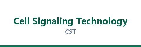 Cell Signaling Technology（CST）