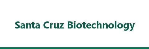 Santa Cruz Biotechnology