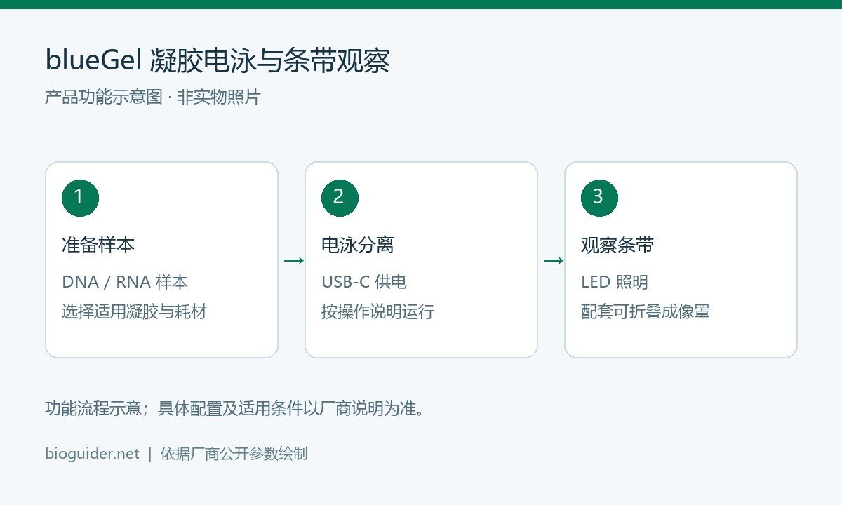 blueGel 凝胶电泳与条带观察功能示意图,依据厂商公开参数绘制,非产品实物照片或实测结果